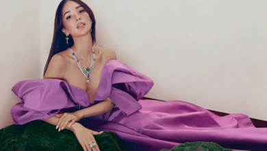 Heart Evangelista Net Worth